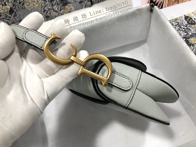 Dior女包 迪奧小號掌紋馬鞍包 Dior手提肩背包  dfk1797